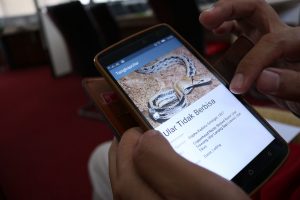 Aplikasi Tangkap Reptil